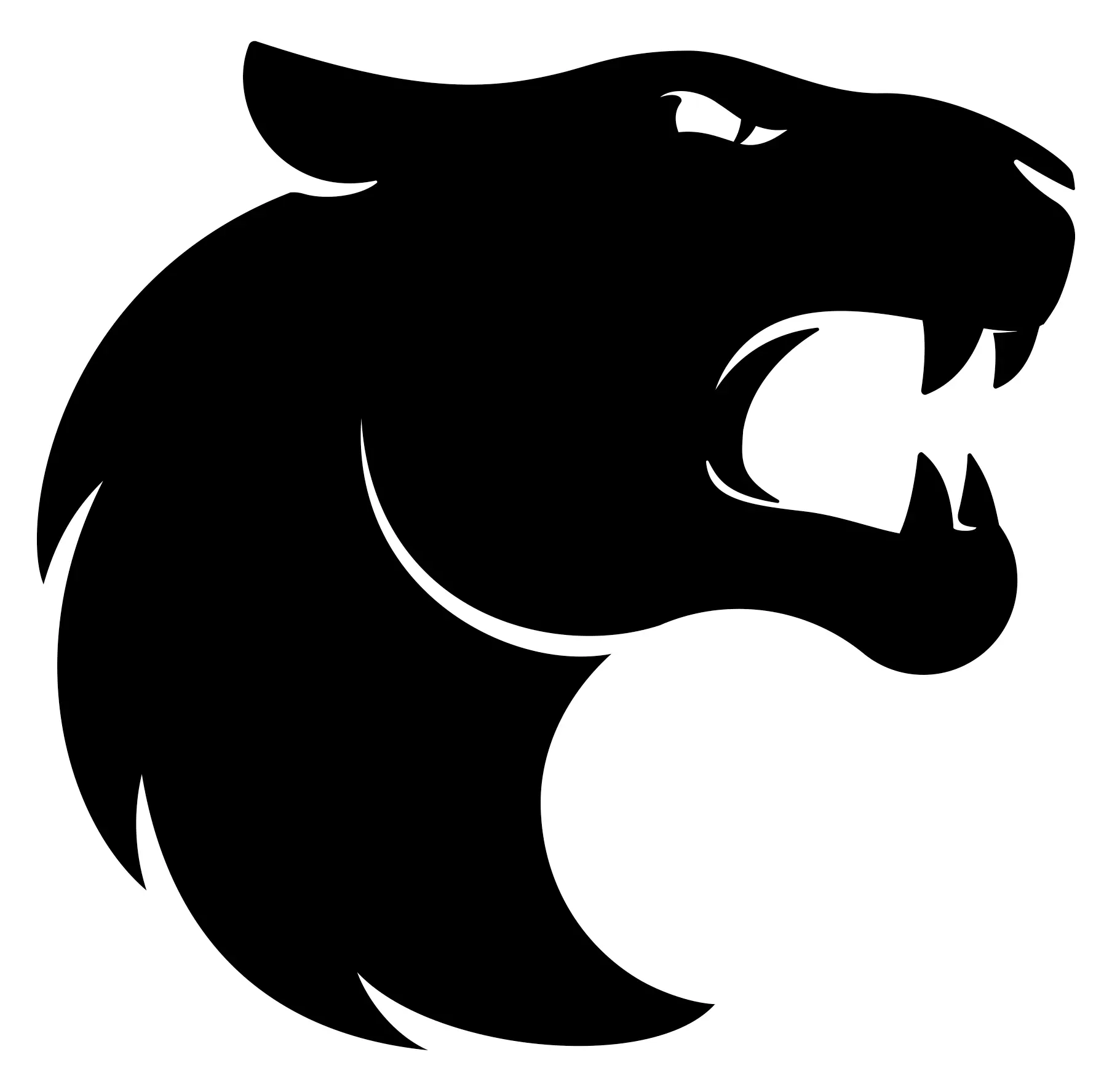 FURIA logo