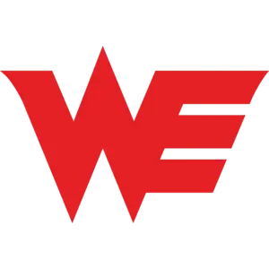 Team WE logo