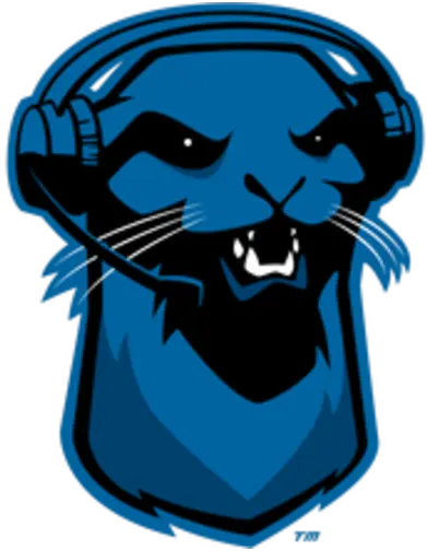 Blue Otter EMEA logo