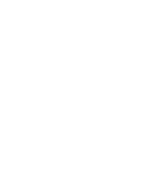 BRUTE logo